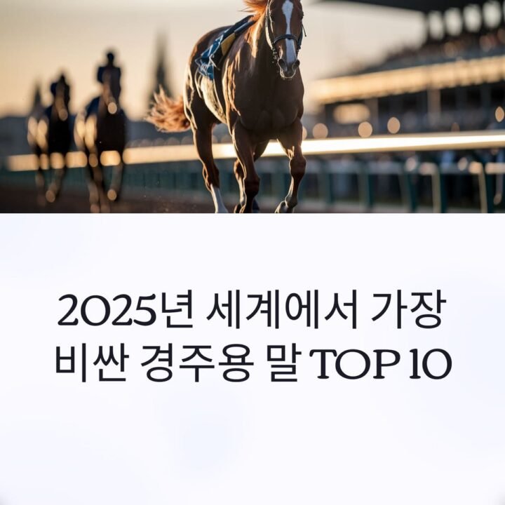 경주용말