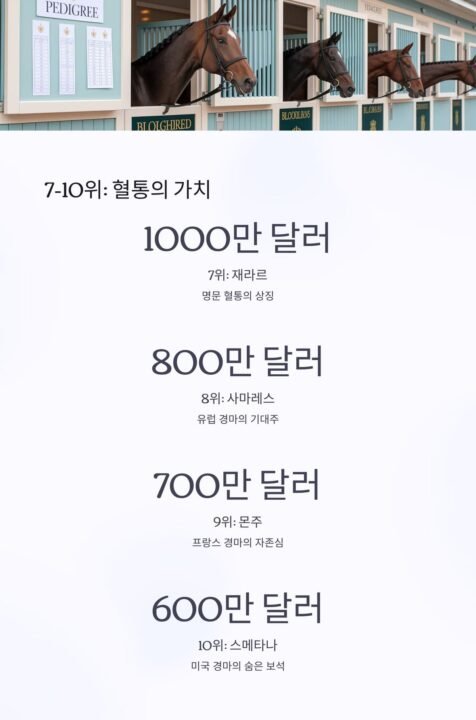 경주용말