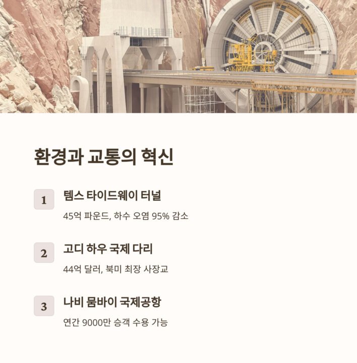 메가 프로젝트