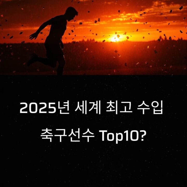 축구 세계 최고 수입
