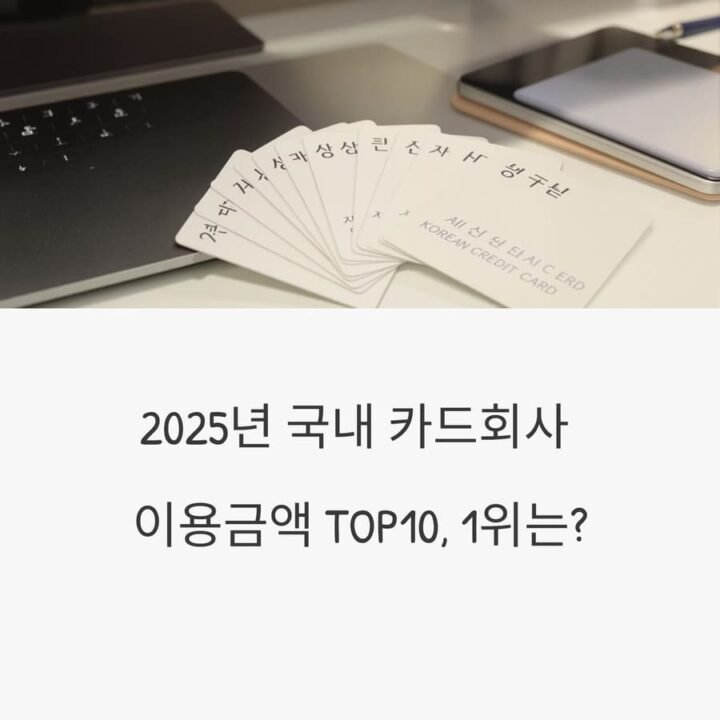 카드회사 이용금액