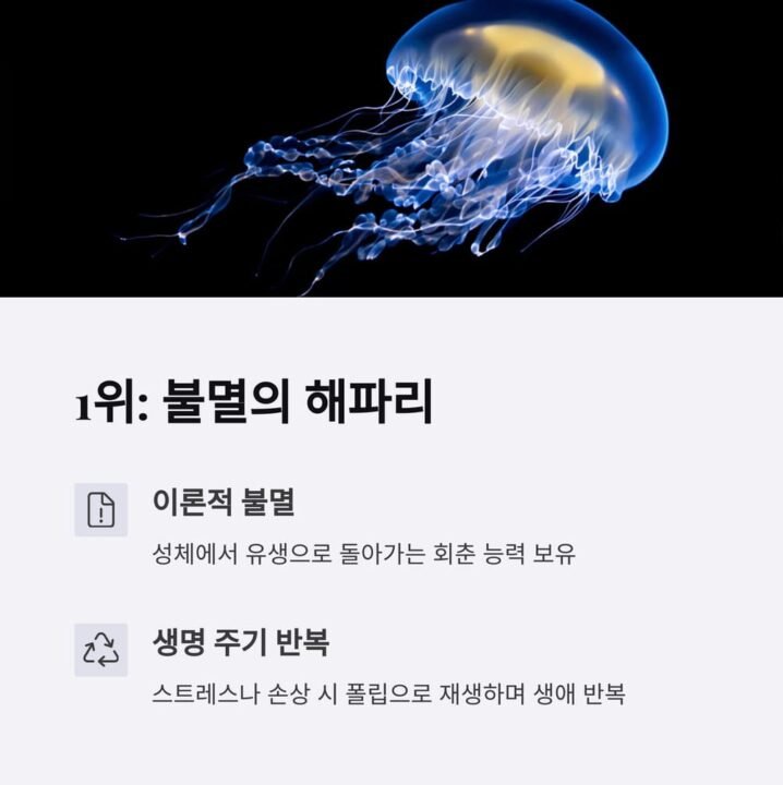 오래사는동물 1