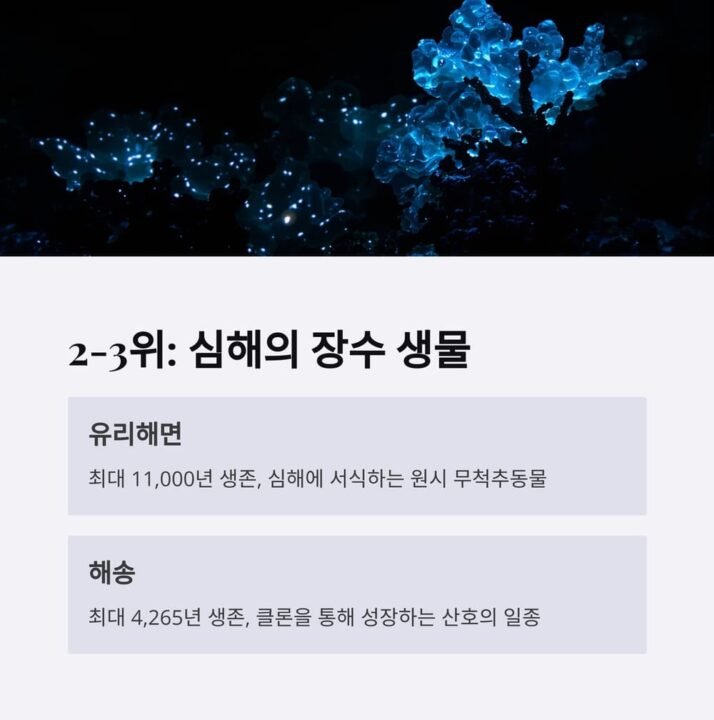 오래사는동물 2 3