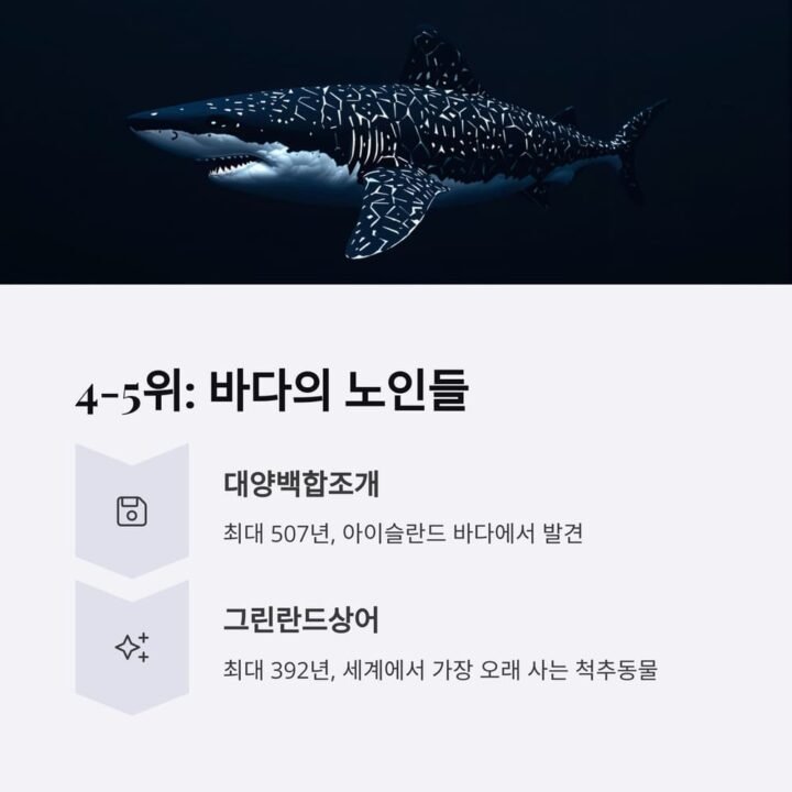 오래사는동물 4 5