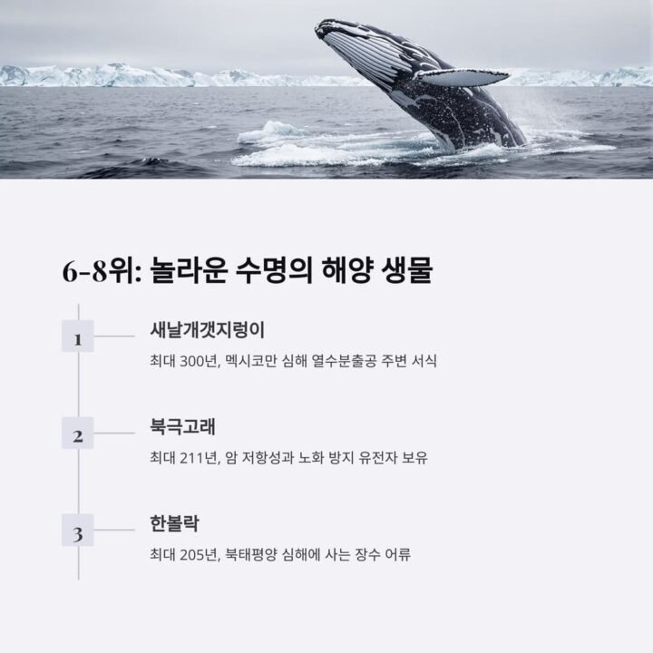 오래사는동물 6 8