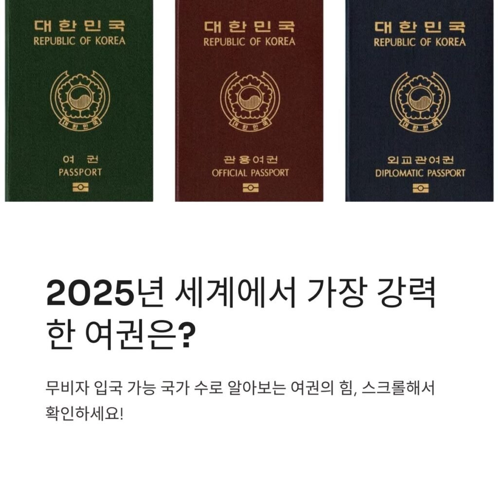 세계에서 가장 강력한 여권