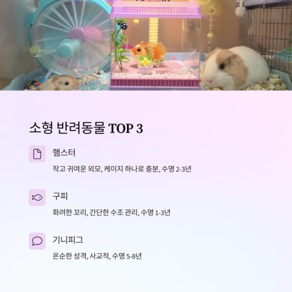 장 키우기 쉬운 동물 소형