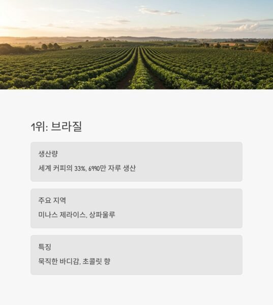 2025년 세계 최고의 커피 산지 TOP1