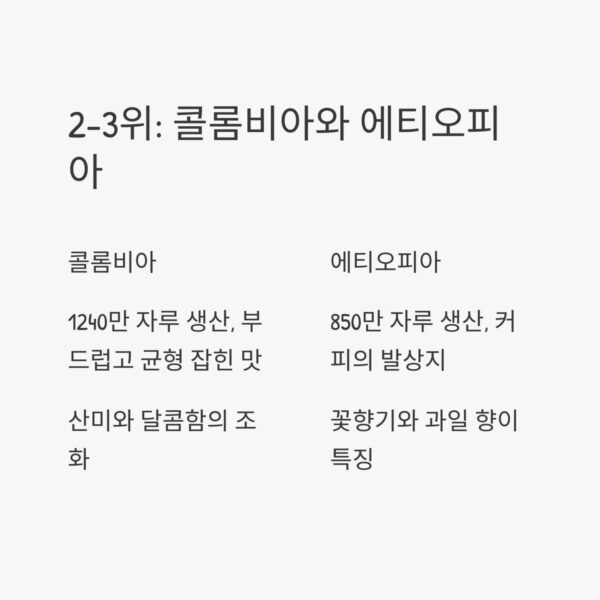 2025년 세계 최고의 커피 산지 TOP2-3