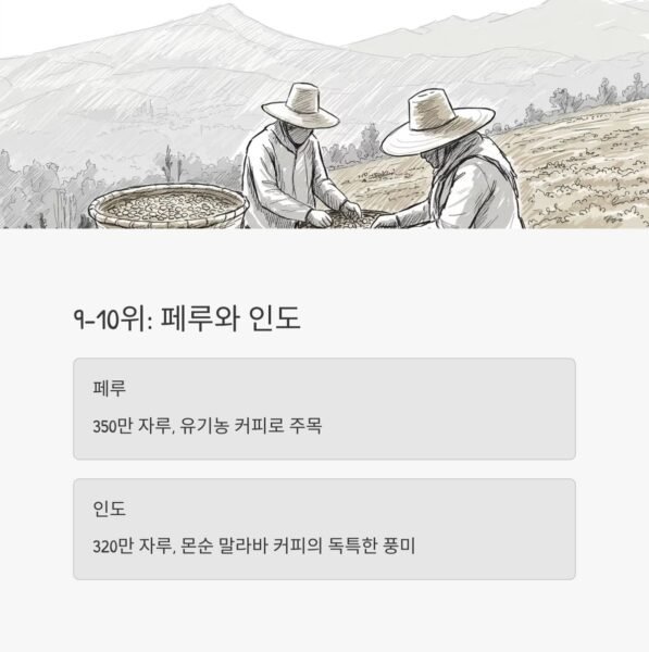 커피생산지 9 10