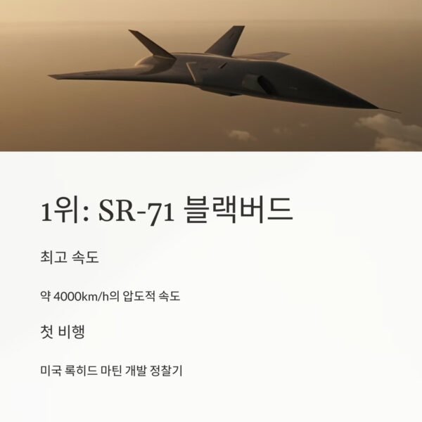 세계에서 가장 빠른 전투기 top10 하늘을 가르는 초음속의 제왕들 10 세계에서 가장 빠른 전투기 블래버드