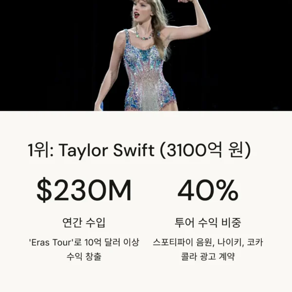 세계 최고 수입 연예인 