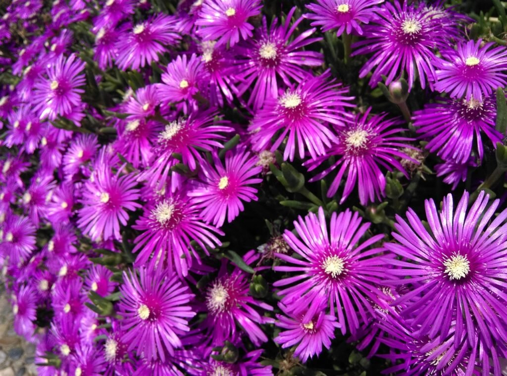 5.18 광주 민주화 운동