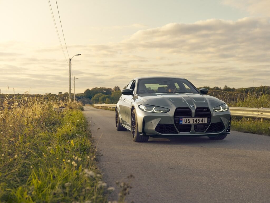 BMW 그릴