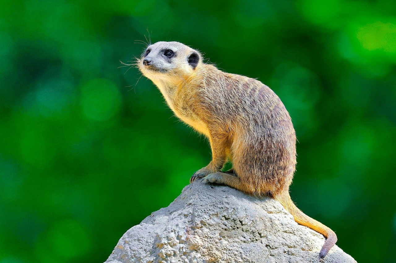 광주 민주화 운동의 진실을 알아보자 7 5.18 광주 민주화 운동