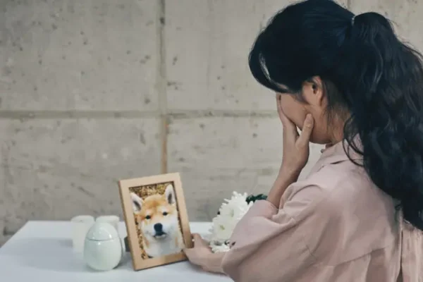 펫로스 증후군