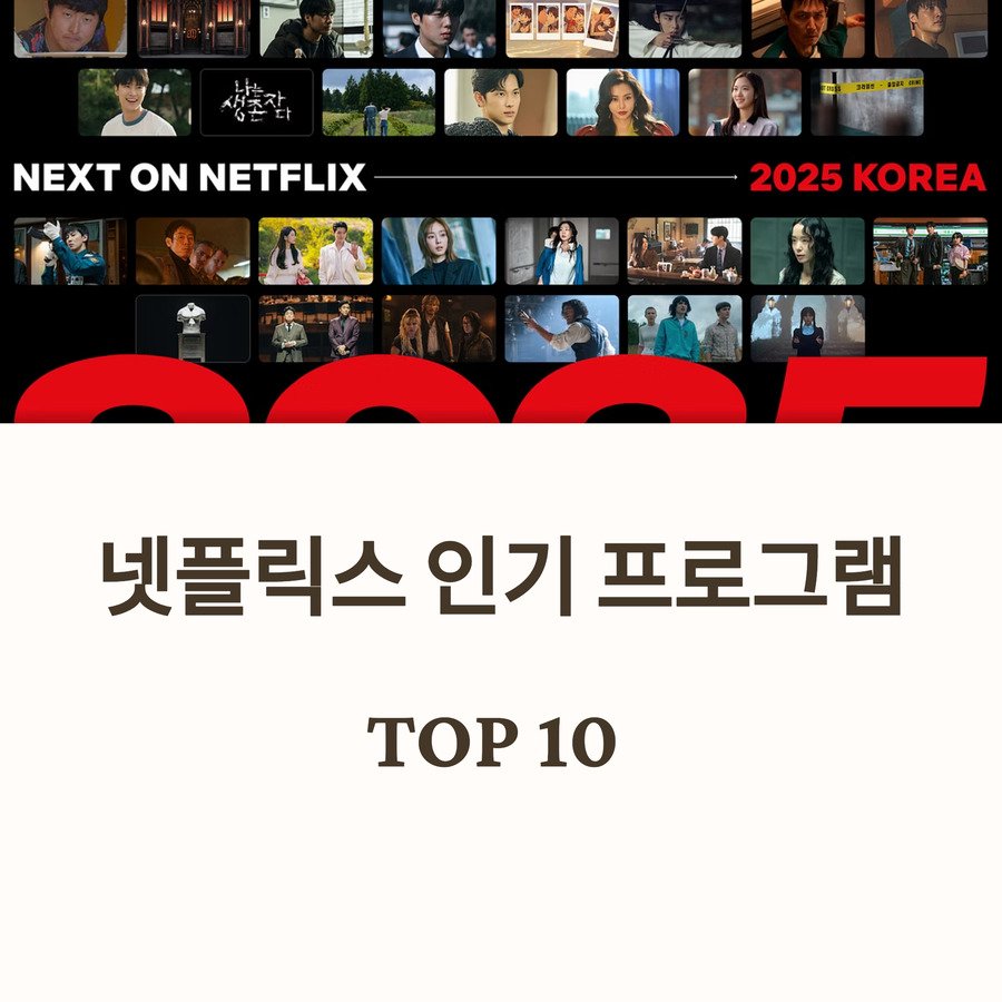 넷플릭스 역대 인기 프로그램 TOP 10, 무엇이 진짜 1위일까?