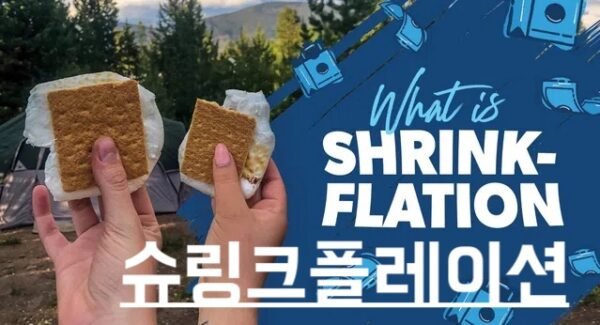 슈링크플레이션