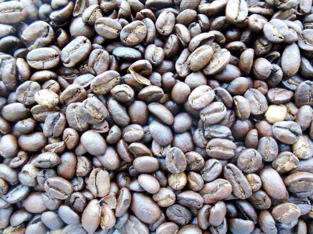 코피 루왁 Kopi Luwak