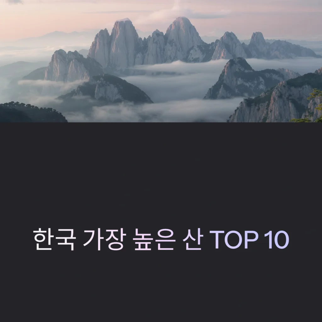 가장 높은 산 top