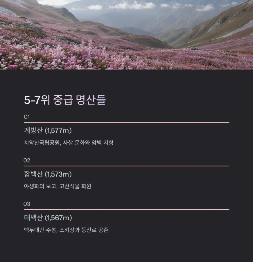 한국에서 가장 높은 산 top10 13 5 5 7