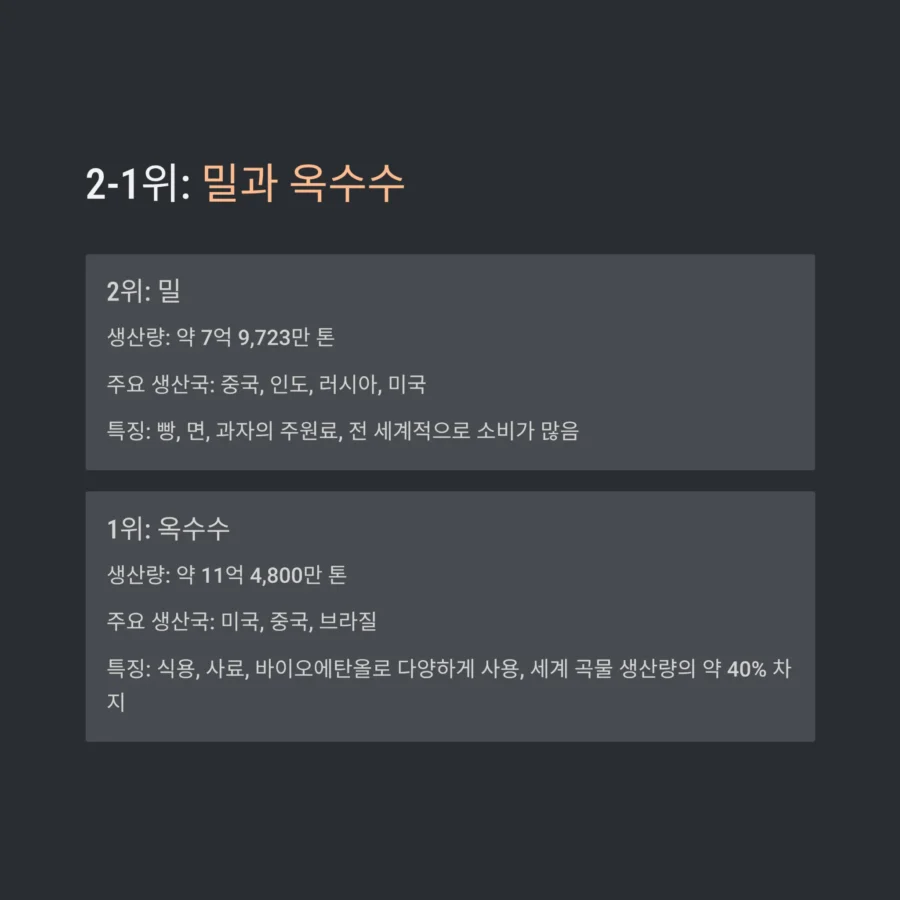 2025년 세계에서 가장 많이 재배되는 곡물 TOP 옥수수