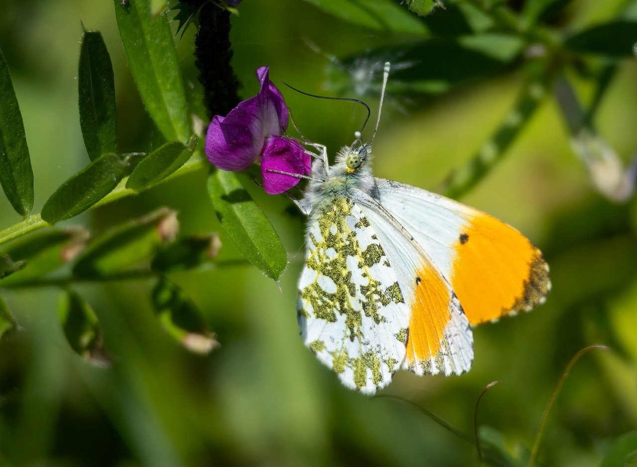 연비 향상하는 4가지 꿀팁 9 연비 향상 팁