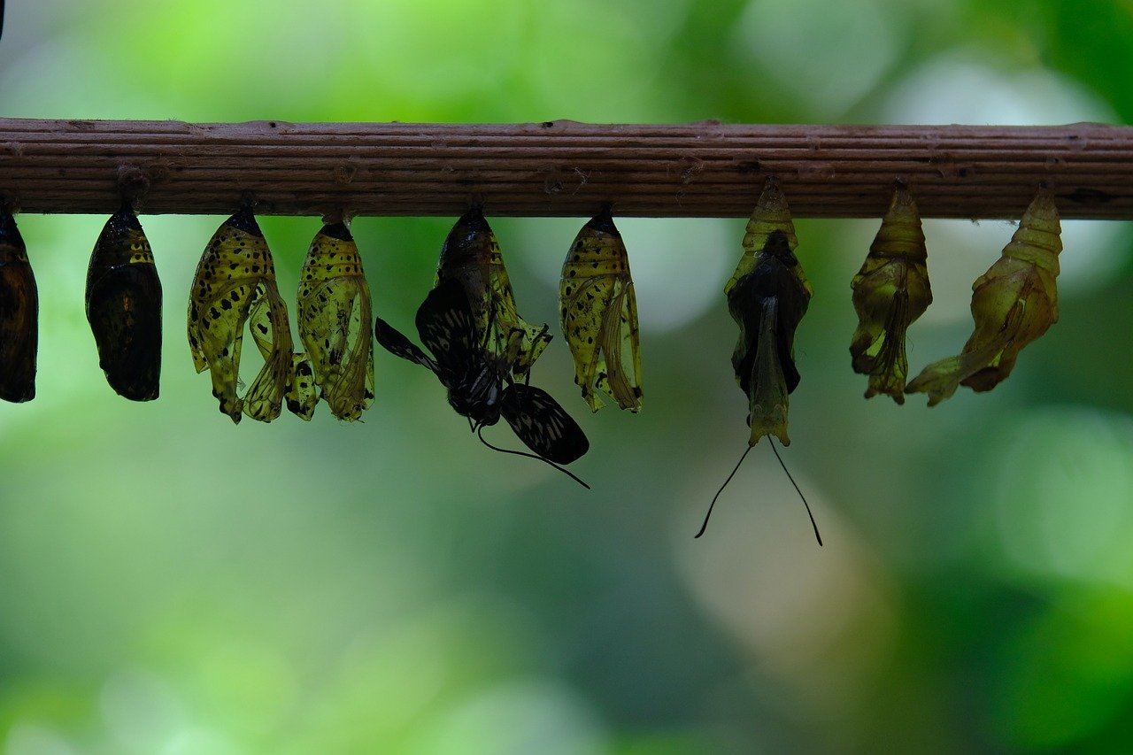 해치백 차량 선택 시 고려해야 할 4가지 요소 알아보자 8 해치백