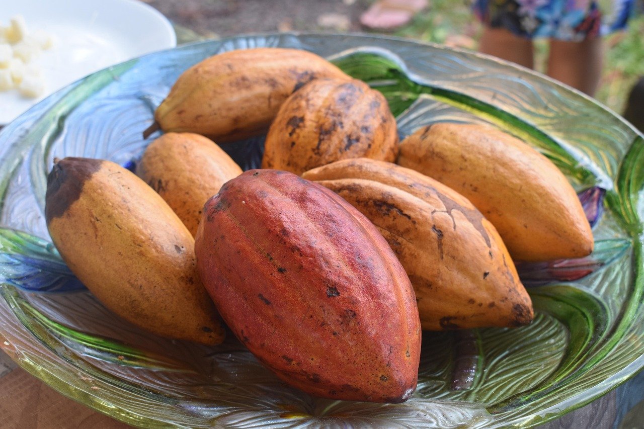 그랜저 하이브리드 성능과 효율성 알아보기 12 그랜저 하이브리드