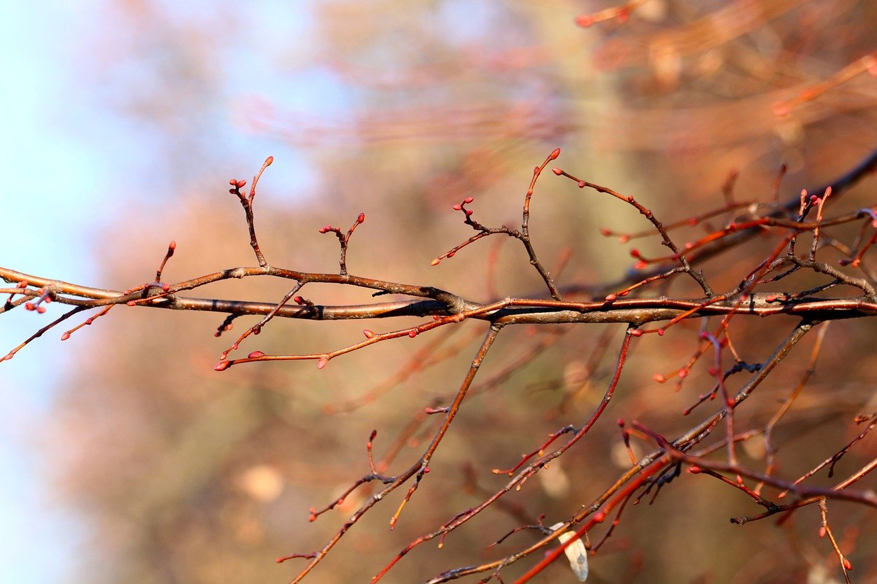안전성을 높이는 4가지 방법 알아보자 9 안전성