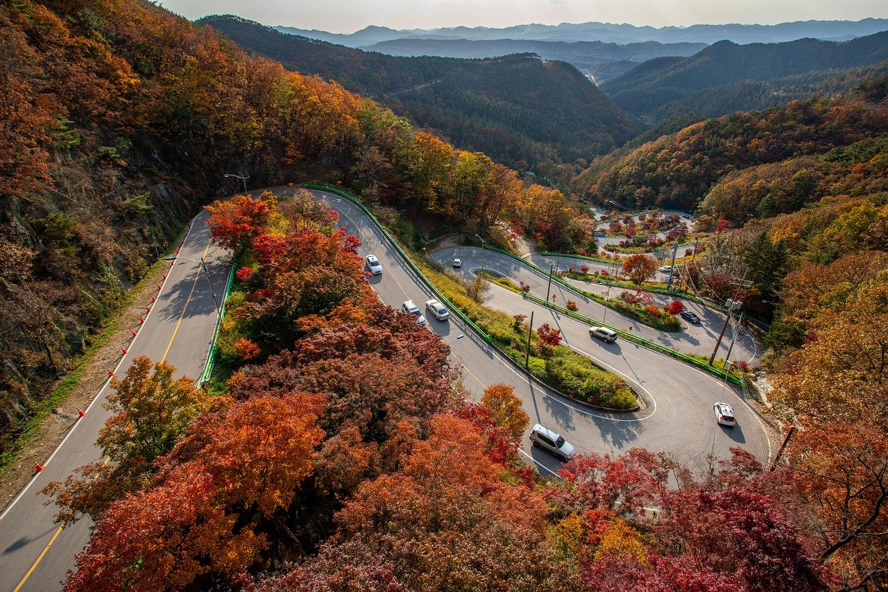 도로 안전을 위한 4가지 꿀팁 8 도로