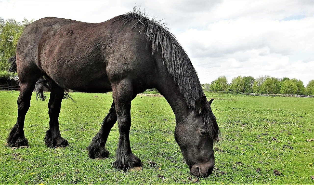 렌트카 선택 시 고려해야 할 5가지 팁 9 렌트카