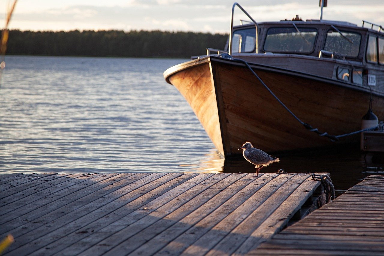 렌트카 이용 시 유의해야 할 4가지 팁 1 렌트카 1