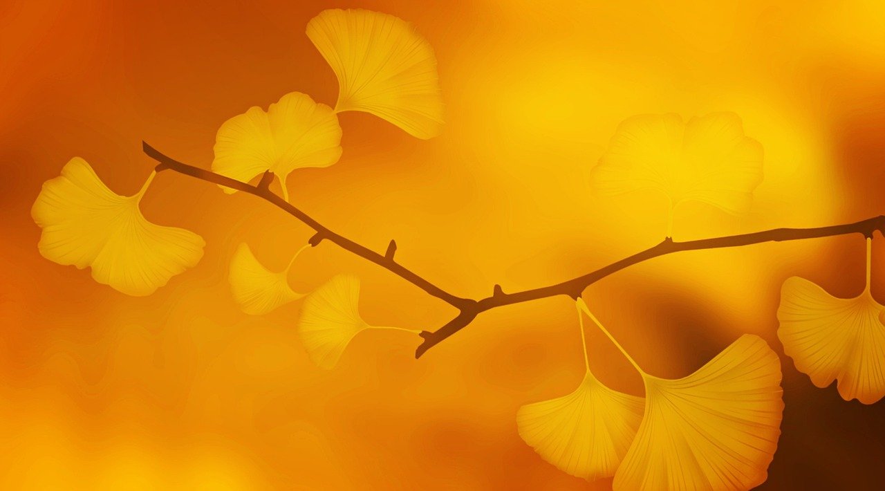 10월, 내 건강보험료가 달라진다? 지역가입자 산정 기준 총정리! 1 10월 내 건강보험료가 달라진다 지역가입자 산정 기준 총정리