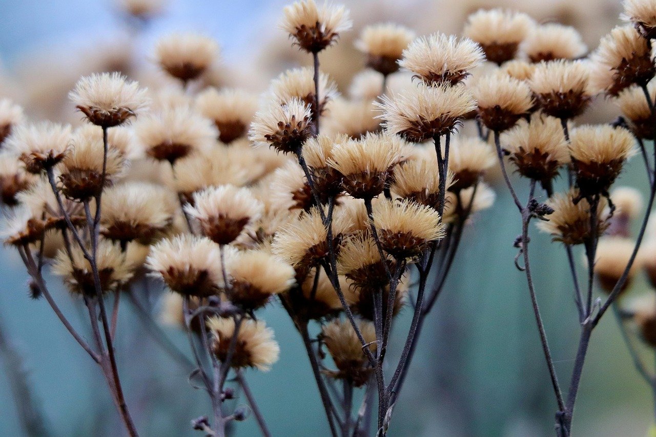 LTV 40%로 급락! 10.15 부동산 대책, 오늘부터 시행되는 규제 총정리 및 시장 전망 1 LTV 40로 급락 10.15 부동산 대책 오늘부터 시행되는 규제 총정리 및 시장 전망