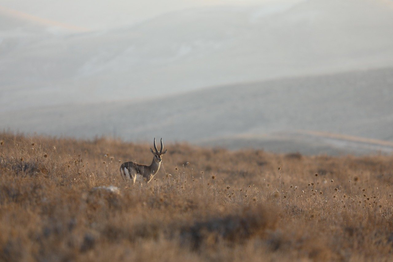 2025년 10월 16일, 조국혁신당 조희대 대법원장 탄핵 소추안 공개: 향후 정국은? 8 2025년 10월 16일, 조국혁신당 조희대 대법원장 탄핵 소추안 공개: 향후 정국은?