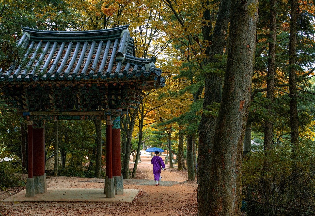서울시 민간임대 규제 완화 발표｜전월세 시장과 내집마련 기회 총정리