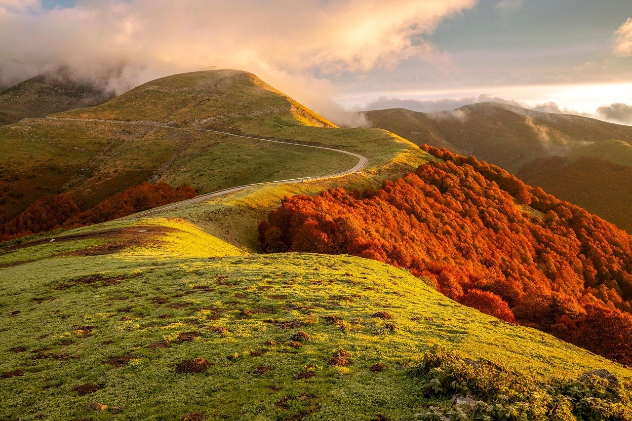 5만 4천 명 권리당원 부정 선거권 의혹! 민주당, 내년 지방선거 빨간불? 7 5만 4천 명 권리당원 부정 선거권 의혹! 민주당, 내년 지방선거 빨간불?