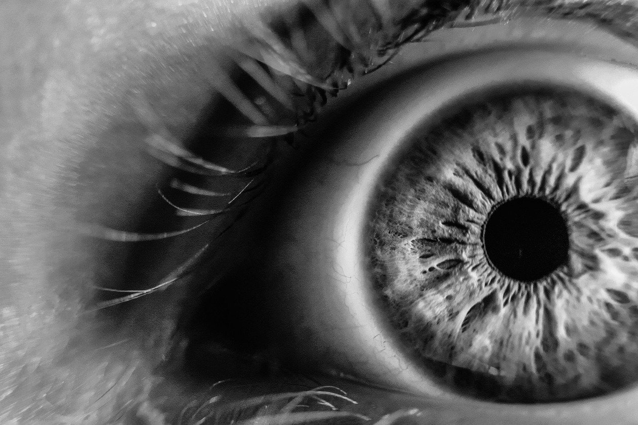 2025년 10월 13일, 연준 '고금리 장기화' 선언: 금융시장 패닉 진단 및 대응 전략