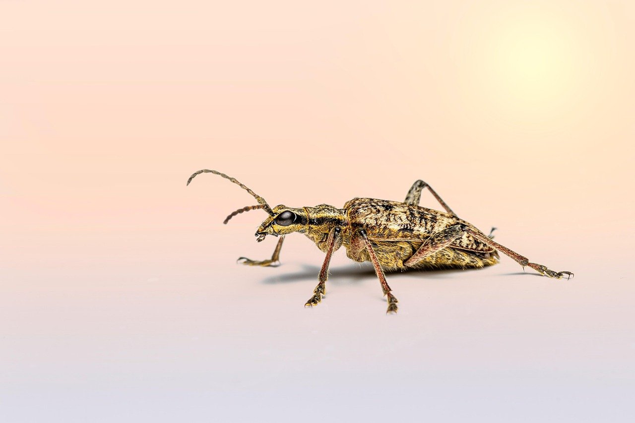 나도 모르게 바뀌는 법? 2025년 11월 주요 시행 법령 총정리 1 나도 모르게 바뀌는 법 2025년 11월 주요 시행 법령 총정리