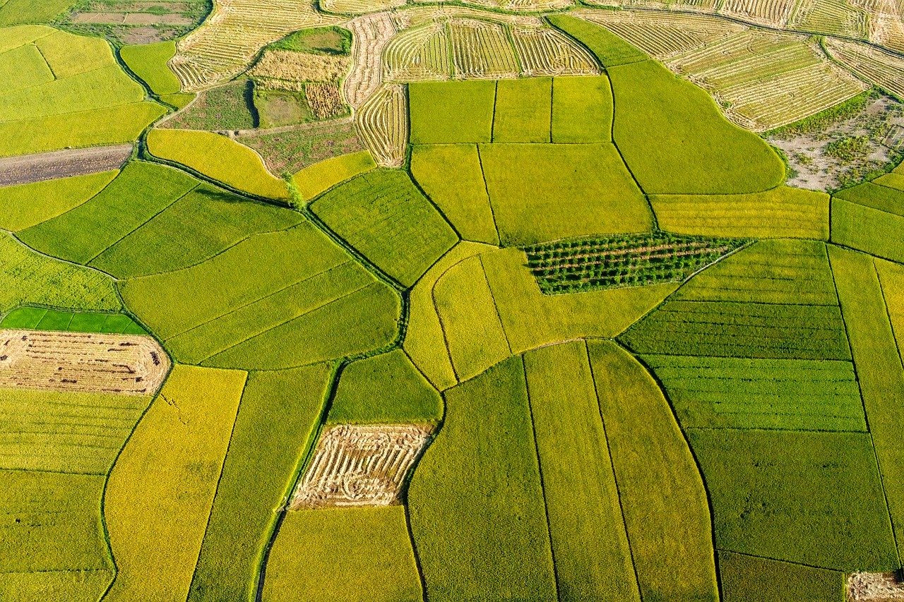 밥솥의 압력 조절 밸브는 어떻게 작동할까? 8 밥솥의 압력 조절 밸브는 어떻게 작동할까?