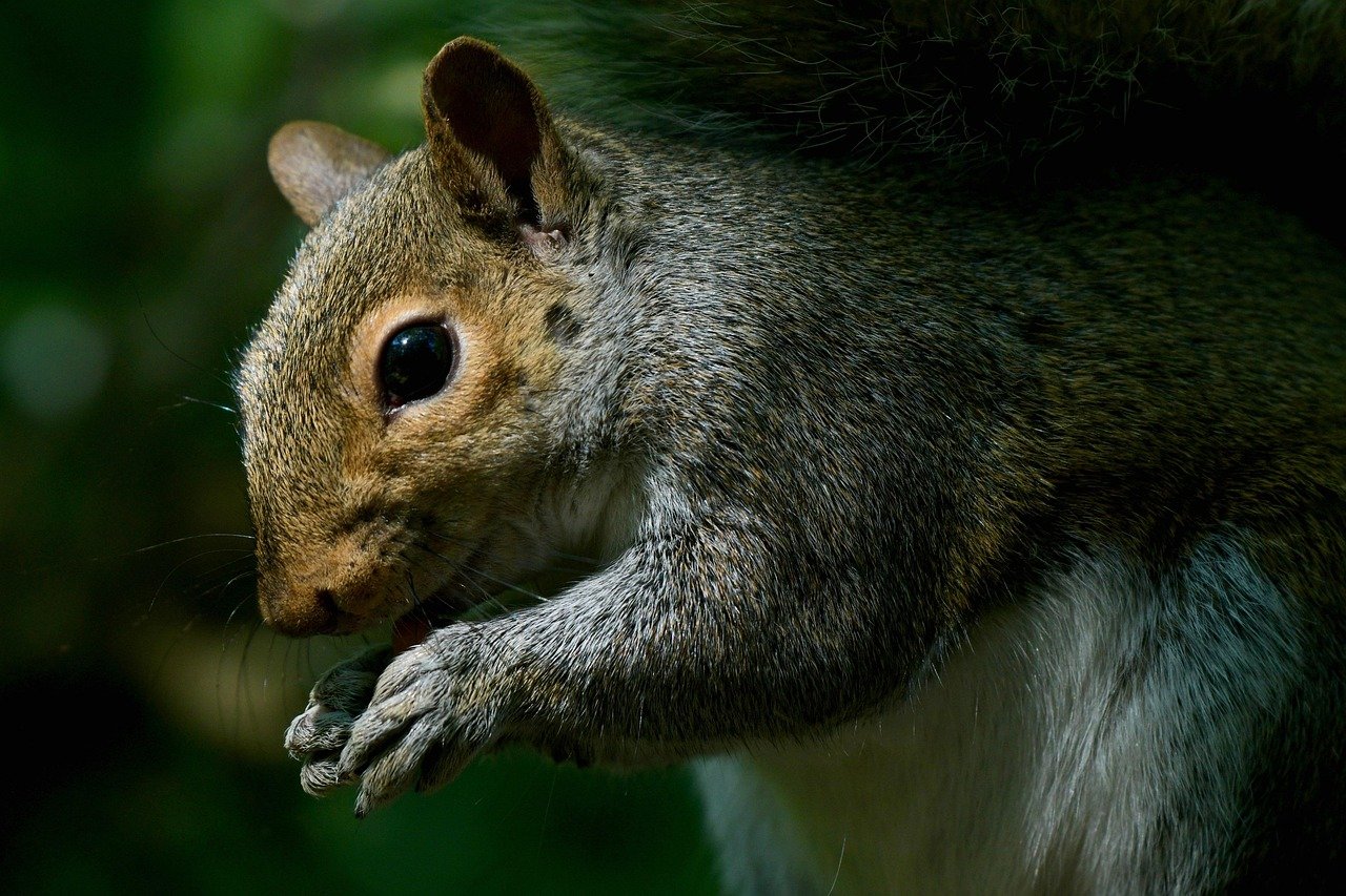 김밥용 김은 급지 말라 9 김밥용 김은 급지 말라