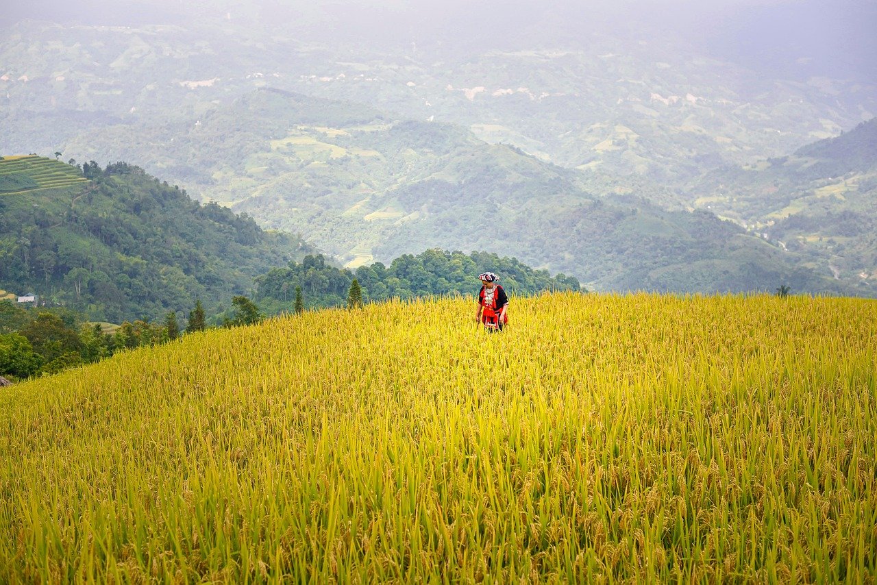 국자에도 사이즈가 있다고요? 요리별 추천 7 국자에도 사이즈가 있다고요? 요리별 추천