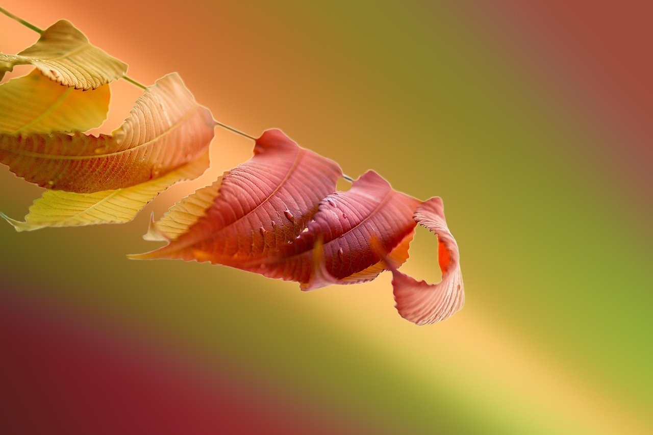 접착제가 붙은 훅, 식초로 떼어내면 쉬워 9 접착제가 붙은 훅, 식초로 떼어내면 쉬워