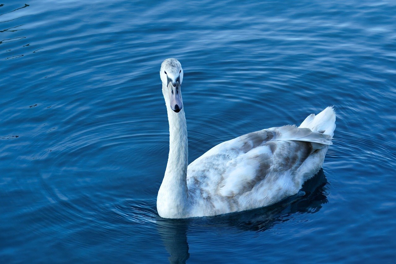 믹서기 날이 무뎌졌다면? 교체보다 중요한 관리법 8 믹서기 날이 무뎌졌다면? 교체보다 중요한 관리법