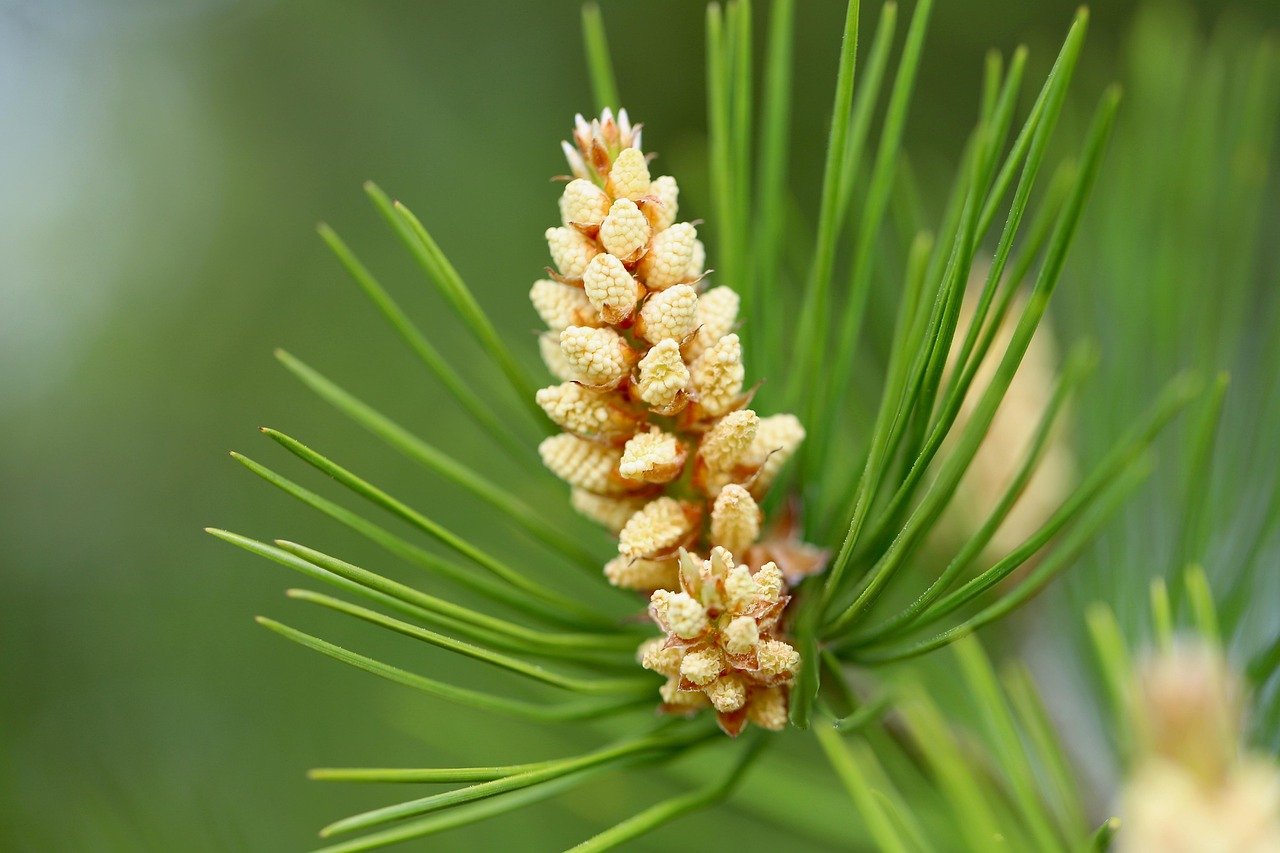 콘센트 확장멀티탭 추천, 회전형 포함 리스트 10 콘센트 확장멀티탭 추천, 회전형 포함 리스트