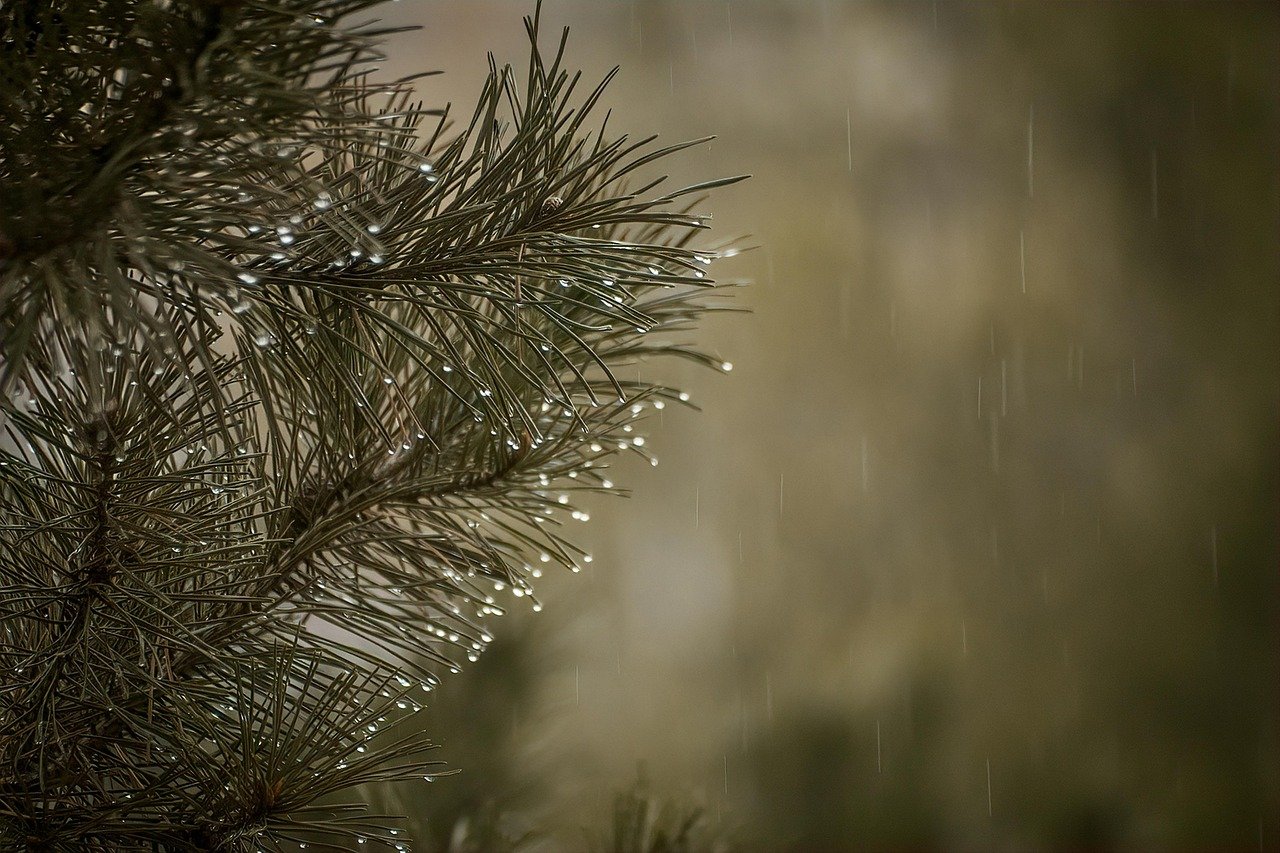베개는 왜 일정 기간 지나면 탄성이 줄어들까? 7 베개는 왜 일정 기간 지나면 탄성이 줄어들까?