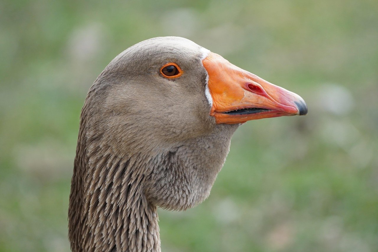 따뜻한 물로 밥을 지으면 일석이초 9 따뜻한 물로 밥을 지으면 일석이초