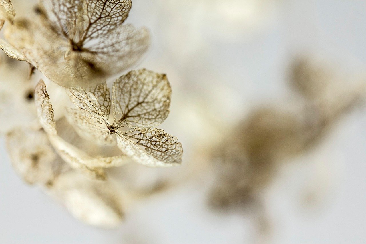 목욕물에 말린 귤 껍질 넣으면 피부에 좋아 9 목욕물에 말린 귤 껍질 넣으면 피부에 좋아