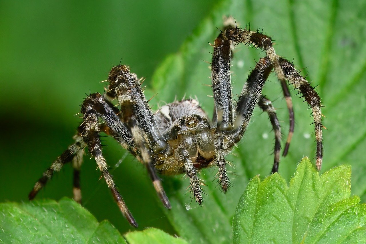 하이웨스트 팬츠, 다리 길어 보이는 각도 8 하이웨스트 팬츠, 다리 길어 보이는 각도
